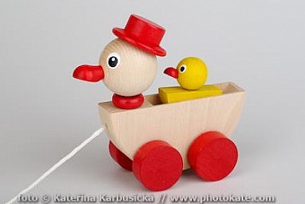 Kachna s kachnětem